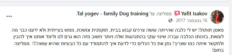 Dog Harmony - אילוף כלבים