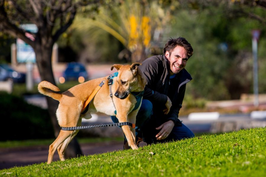 אדם צוחק בזמן אילוף עם הכלב שלו