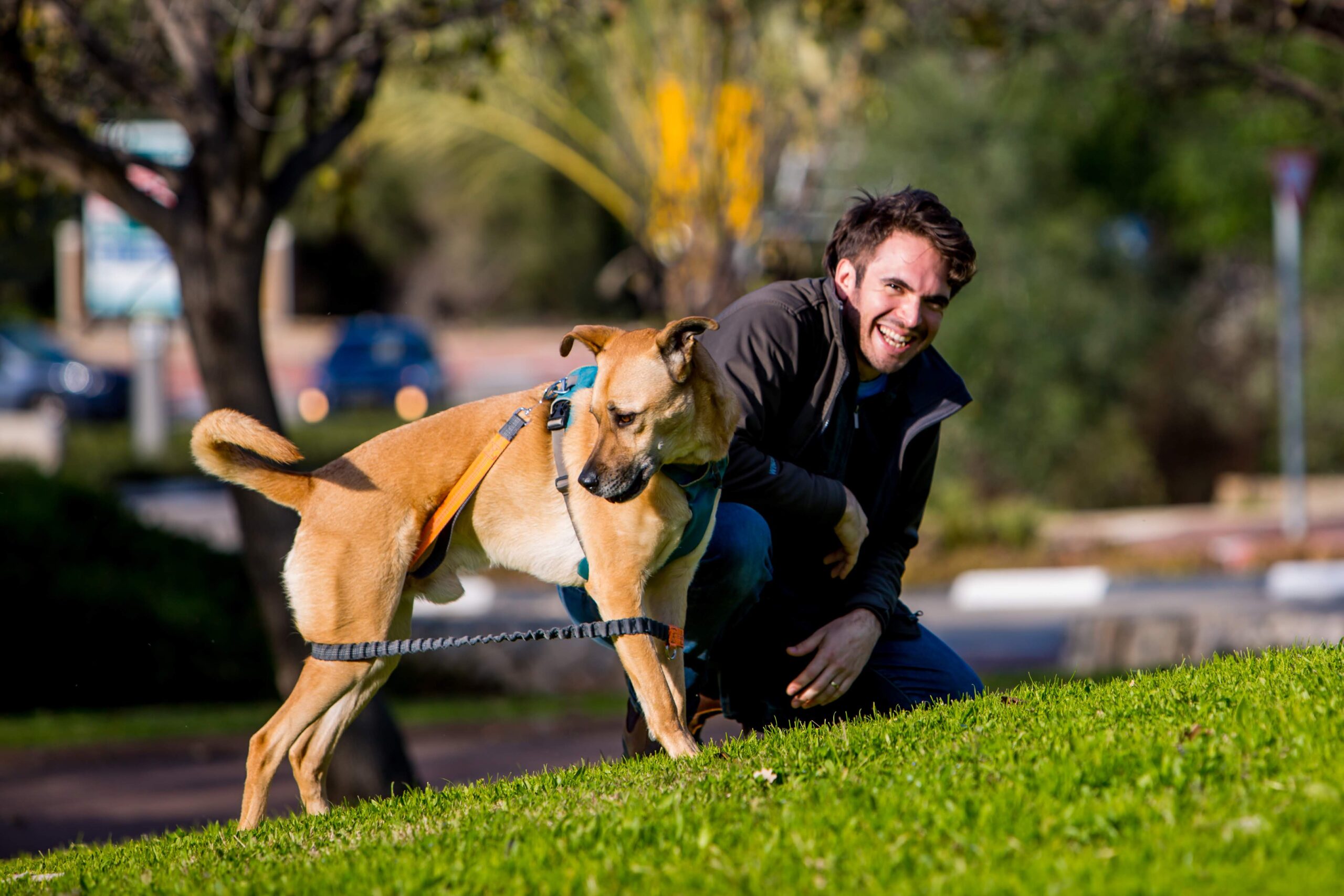 אדם צוחק בזמן אילוף עם הכלב שלו
